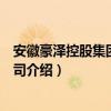 安徽豪泽控股集团有限公司（关于安徽豪泽控股集团有限公司介绍）