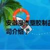 安徽豪杰塑胶制品有限公司（关于安徽豪杰塑胶制品有限公司介绍）