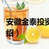 安徽金泰投资集团（关于安徽金泰投资集团介绍）