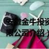 安徽金牛投资有限公司（关于安徽金牛投资有限公司介绍）