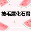 披毛犀化石骨架（关于披毛犀化石骨架简介）