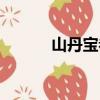 山丹宝卷（关于山丹宝卷简介）