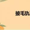 披毛犰狳（关于披毛犰狳简介）