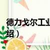 德力戈尔工业园区（关于德力戈尔工业园区介绍）