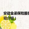 安徽金渠保险服务有限公司（关于安徽金渠保险服务有限公司介绍）