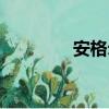 安格尔（关于安格尔介绍）