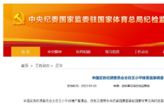 中国足协纪律委员会主任王小平涉嫌严重违法