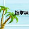 揎拳裸袖（关于揎拳裸袖简介）