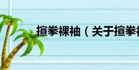 揎拳裸袖(关于揎拳裸袖简介)