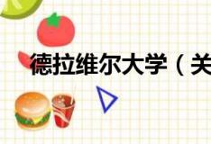 德拉维尔大学（关于德拉维尔大学介绍）
