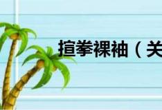 揎拳裸袖（关于揎拳裸袖简介）