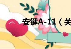 安键A-11（关于安键A-11介绍）