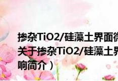 掺杂TiO2/硅藻土界面微结构特征及对光催化活性的影响（关于掺杂TiO2/硅藻土界面微结构特征及对光催化活性的影响简介）