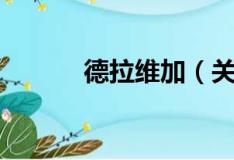 德拉维加（关于德拉维加介绍）