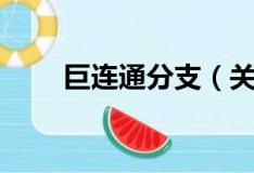 巨连通分支（关于巨连通分支简介）