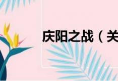 庆阳之战（关于庆阳之战介绍）