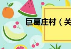 巨葛庄村（关于巨葛庄村简介）