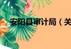 安阳县审计局（关于安阳县审计局介绍）