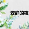 安静的夜晚（关于安静的夜晚介绍）