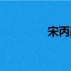 宋丙跃（关于宋丙跃介绍）