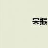 宋振中（关于宋振中介绍）