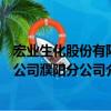 宏业生化股份有限公司濮阳分公司（关于宏业生化股份有限公司濮阳分公司介绍）