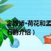 念奴娇·荷花和孟晋用白石韵（关于念奴娇·荷花和孟晋用白石韵介绍）