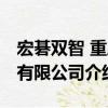 宏碁双智 重庆有限公司（关于宏碁双智 重庆有限公司介绍）