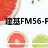 建基FM56-PA（关于建基FM56-PA介绍）