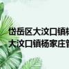 岱岳区大汶口镇杨家庄管区王庄村志愿服务队（关于岱岳区大汶口镇杨家庄管区王庄村志愿服务队简介）