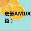 宏碁AM1000-10（关于宏碁AM1000-10介绍）