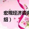 宏观经济咨询报告（关于宏观经济咨询报告介绍）