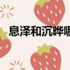 息泽和沉晔哪个是东华（简述东华的身世）