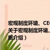宏观制度环境、CEO管理自主权与微观企业行为——转型中国的证据（关于宏观制度环境、CEO管理自主权与微观企业行为——转型中国的证据介绍）