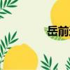 岳前进（关于岳前进简介）