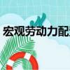宏观劳动力配置（关于宏观劳动力配置介绍）