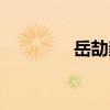 岳劼毅（关于岳劼毅简介）