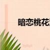 暗恋桃花源影评（优秀影评请查收）