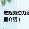 宏观劳动力资源配置（关于宏观劳动力资源配置介绍）