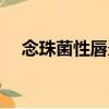 念珠菌性唇炎（关于念珠菌性唇炎介绍）