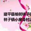 建平县榆树林子镇小房身村志愿服务小队（关于建平县榆树林子镇小房身村志愿服务小队介绍）