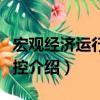 宏观经济运行与调控（关于宏观经济运行与调控介绍）