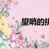 望哨的拼音（望哨的拼音及解释）