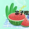 宗子相集（关于宗子相集介绍）