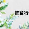 捕食行为（关于捕食行为简介）