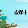 宏谋十约（关于宏谋十约介绍）