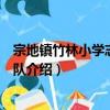 宗地镇竹林小学志愿服务队（关于宗地镇竹林小学志愿服务队介绍）
