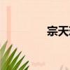 宗天珍（关于宗天珍介绍）