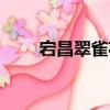 宕昌翠雀花（关于宕昌翠雀花介绍）