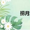 捞月集（关于捞月集简介）